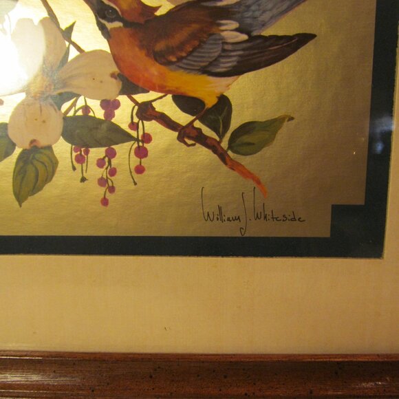 FOIL BIRD PICTURE VINTAGE  PICTURE BY WILLIAM J. WHITESIDE.- BEAUTIFUL.  GREAT! - Picture 2 of 16